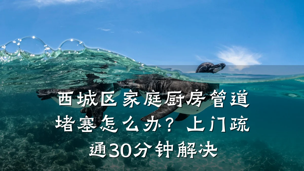 西城区家庭厨房管道堵塞怎么办?上门疏通30分钟解决