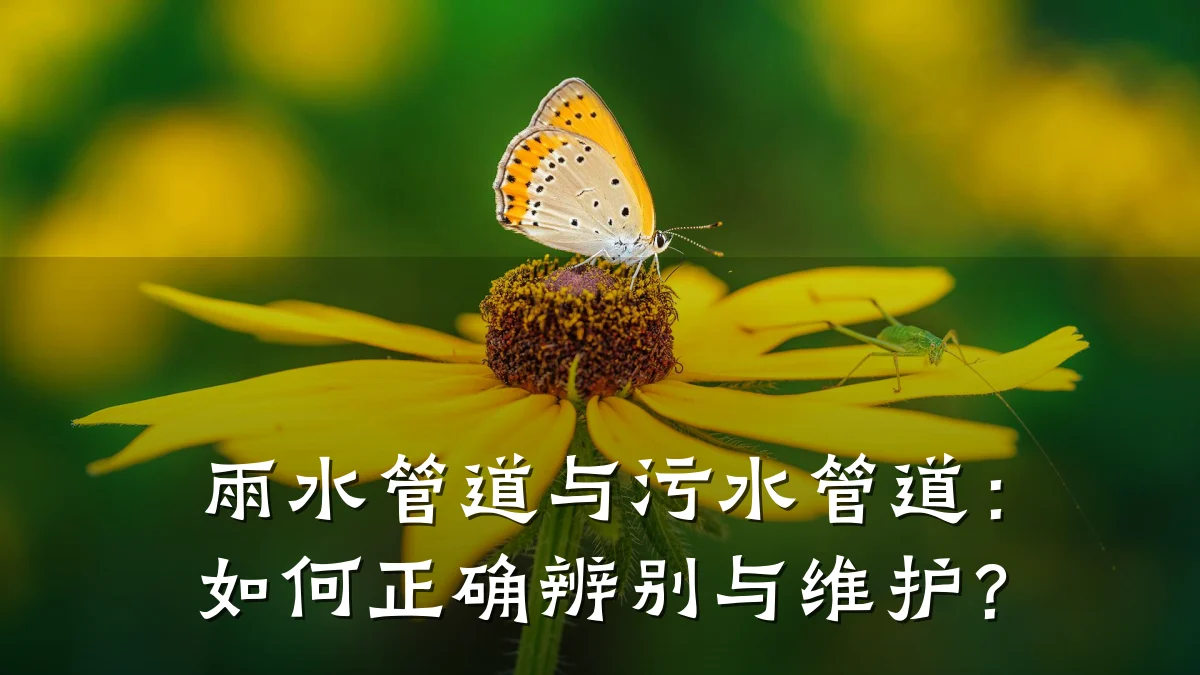 雨水管道与污水管道:如何正确辨别与维护?