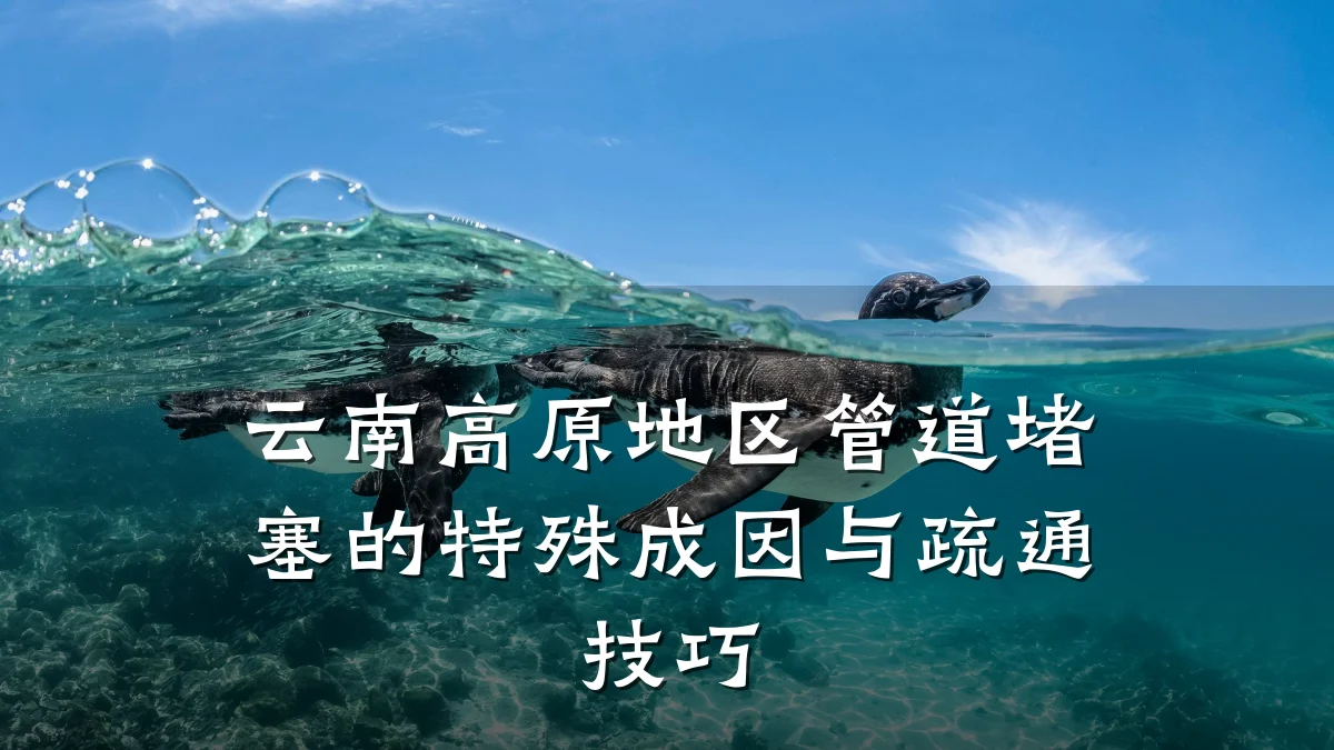 云南高原地区管道堵塞的特殊成因与疏通技巧
