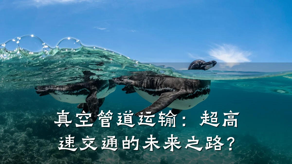 真空管道运输:超高速交通的未来之路?