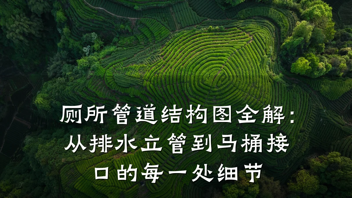 厕所管道结构图全解:从排水立管到马桶接口的每一处细节