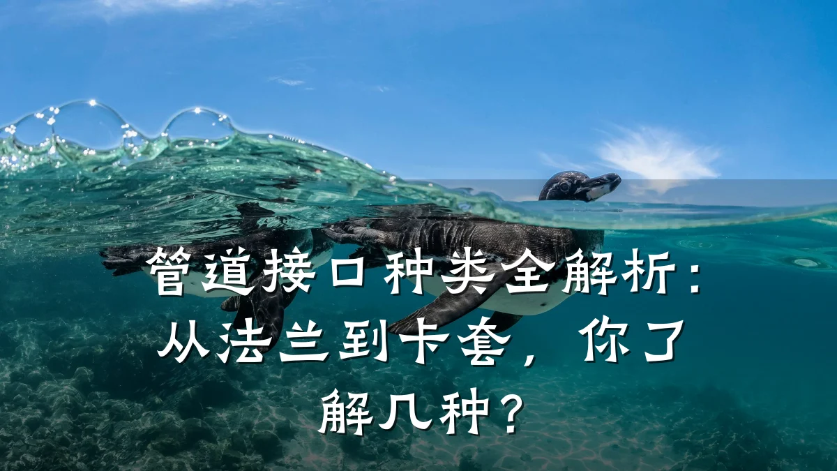 管道接口种类全解析:从法兰到卡套,你了解几种?