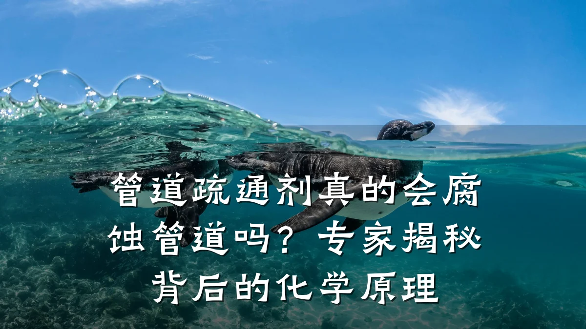 管道疏通剂真的会腐蚀管道吗?专家揭秘背后的化学原理