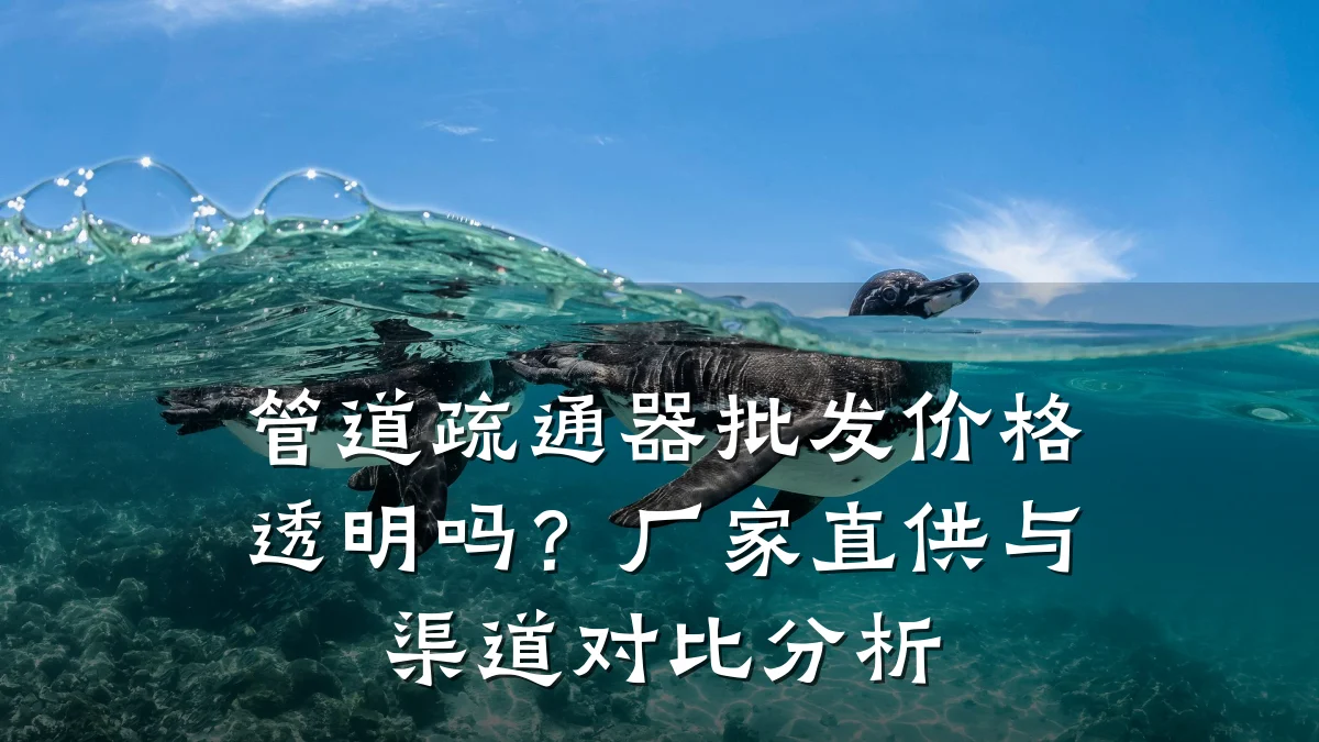 管道疏通器批发价格透明吗?厂家直供与渠道对比分析