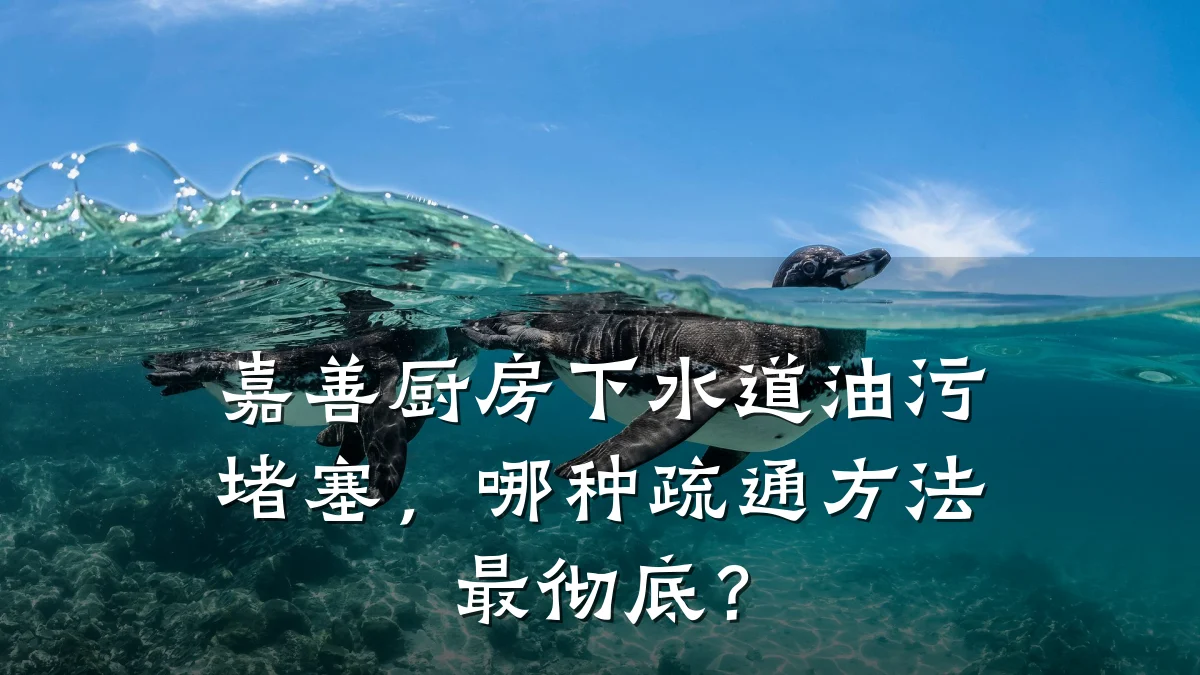 嘉善厨房下水道油污堵塞,哪种疏通方法最彻底?