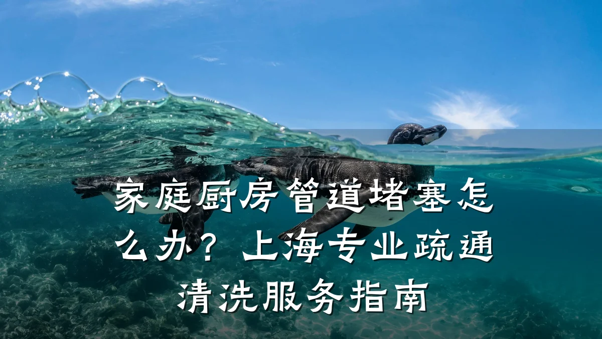 家庭厨房管道堵塞怎么办?上海专业疏通清洗服务指南