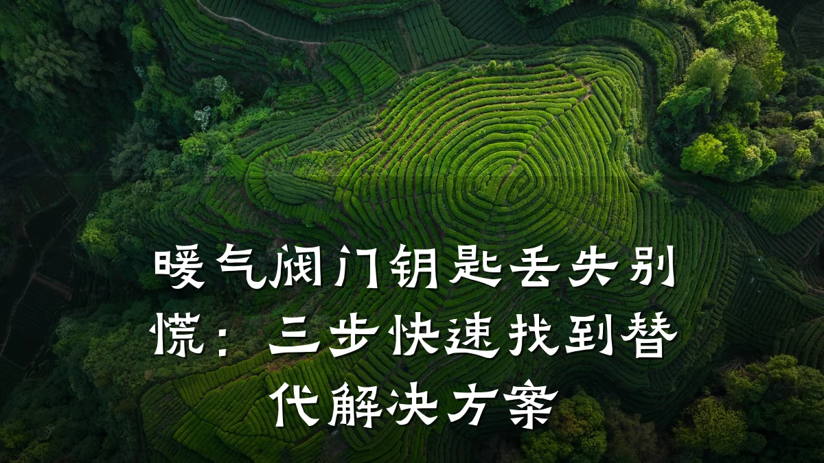 暖气阀门钥匙丢失别慌:三步快速找到替代解决方案
