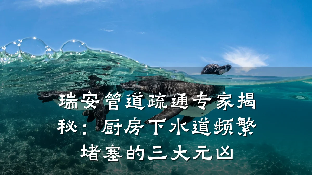 瑞安管道疏通专家揭秘:厨房下水道频繁堵塞的三大元凶