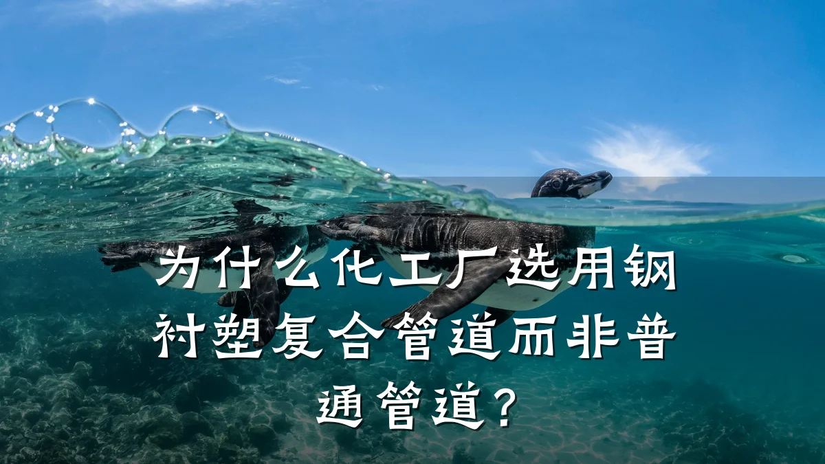 为什么化工厂选用钢衬塑复合管道而非普通管道?
