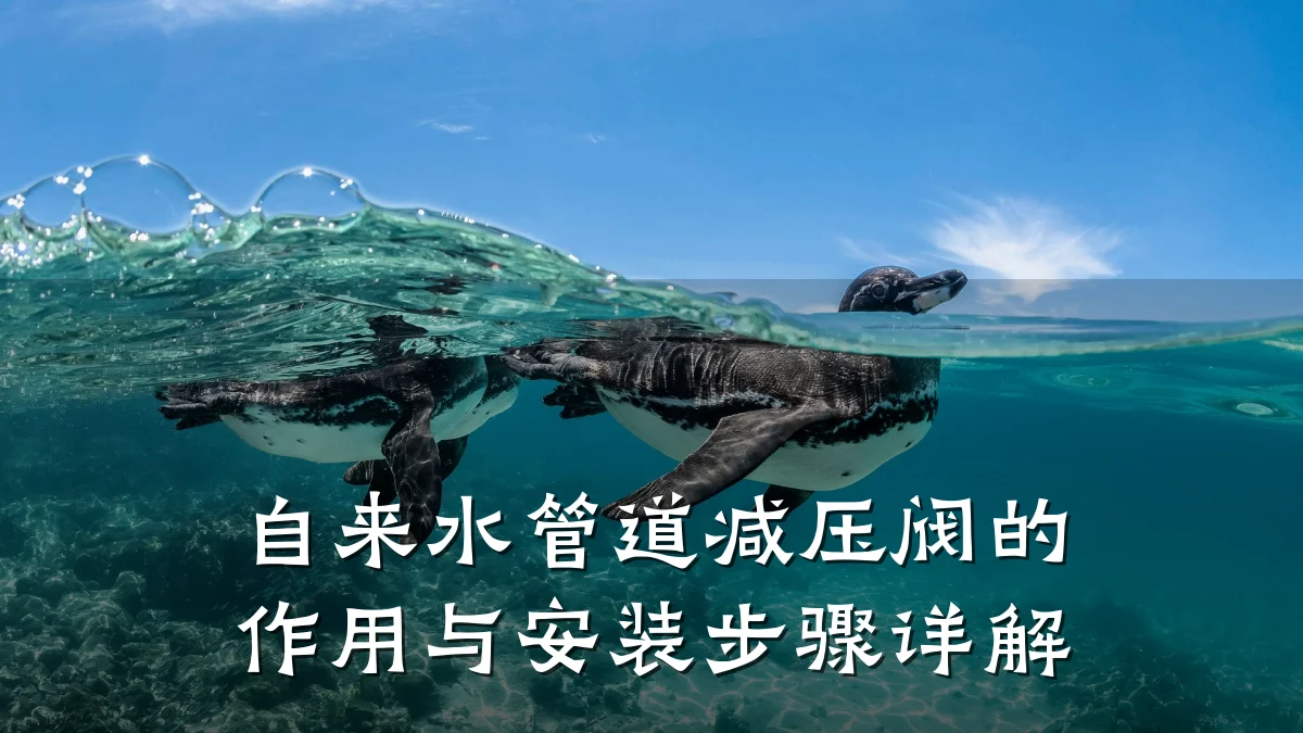 自来水管道减压阀的作用与安装步骤详解