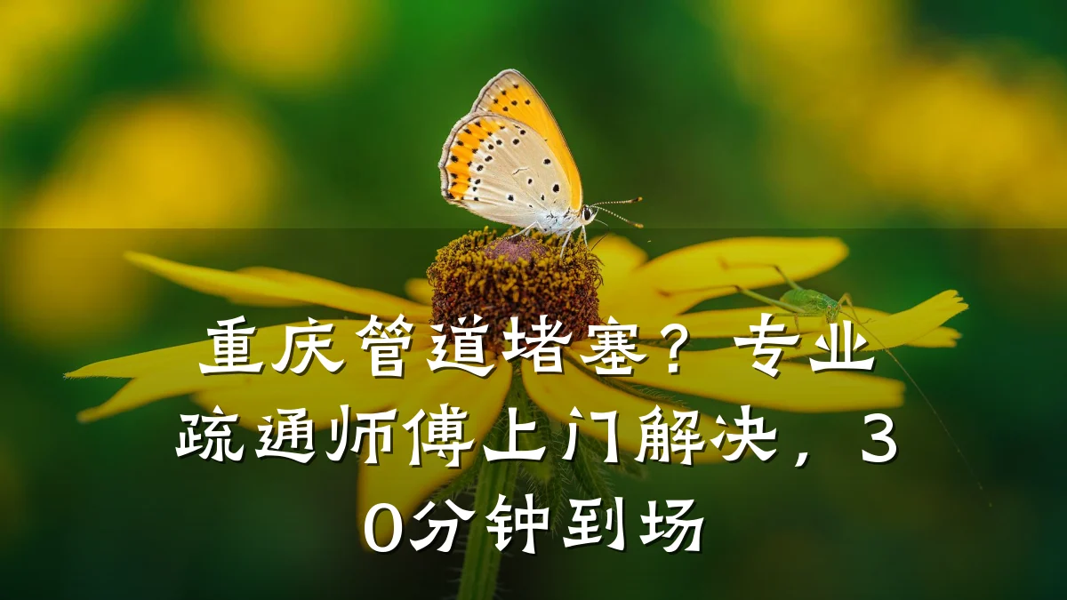 重庆管道堵塞?专业疏通师傅上门解决,30分钟到场