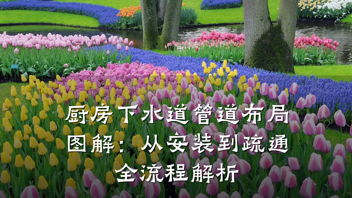 厨房下水道管道布局图解:从安装到疏通全流程解析
