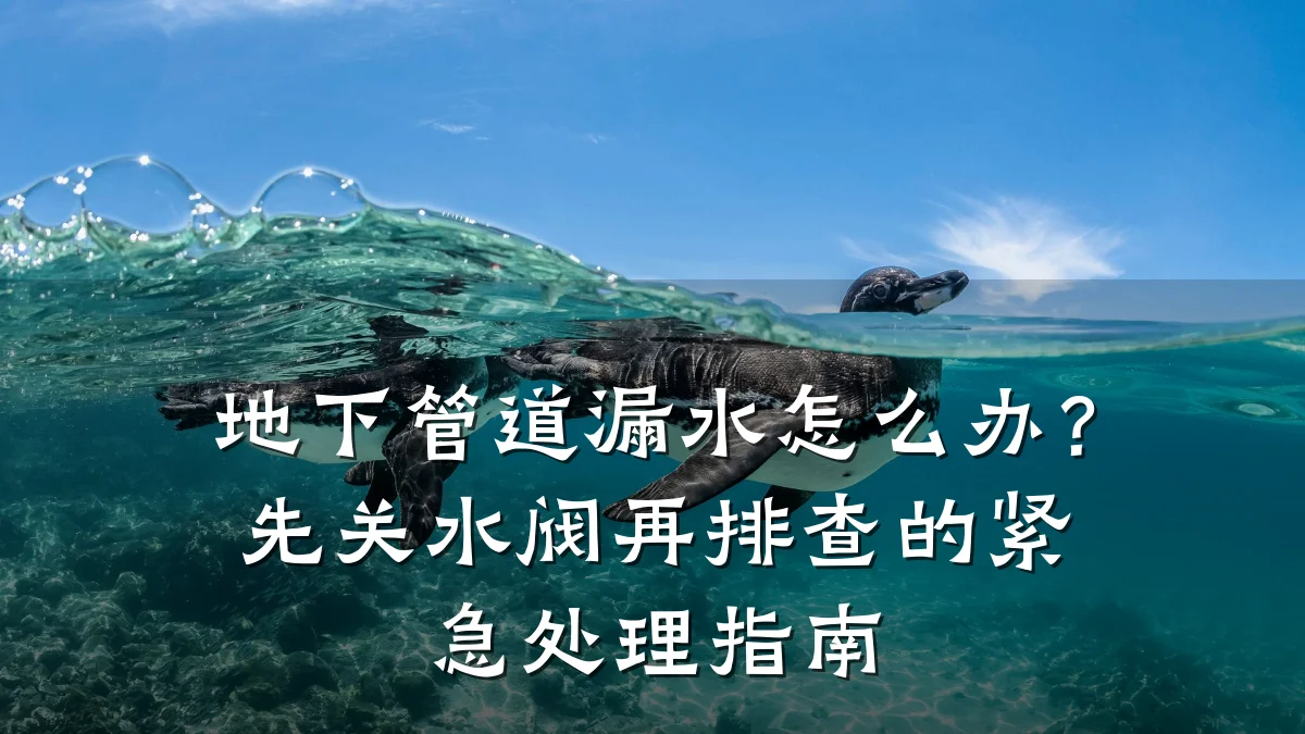 地下管道漏水怎么办?先关水阀再排查的紧急处理指南