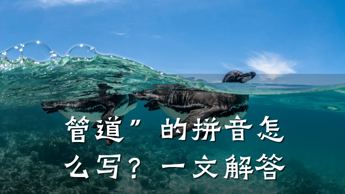 管道”的拼音怎么写?一文解答