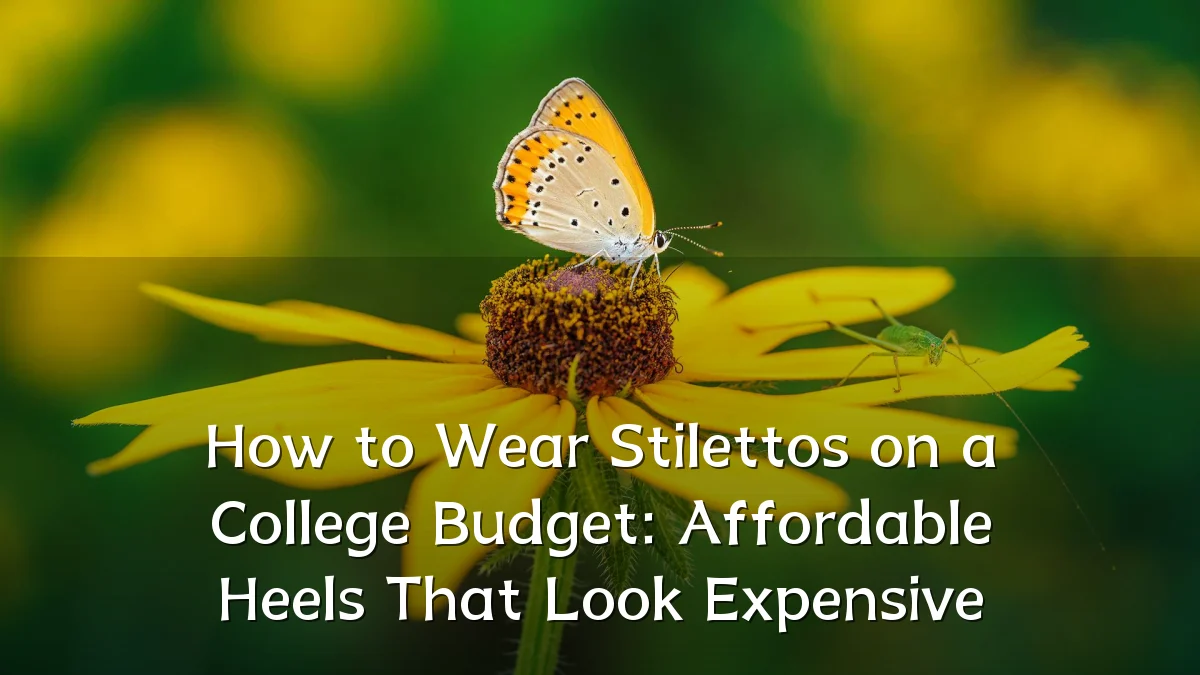 How to Wear Stilettos on a College Budget: Affordable Heels That Look Expensive