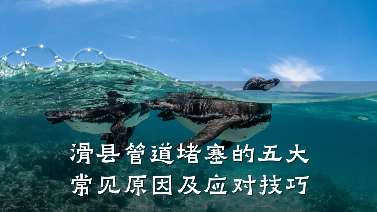 滑县管道堵塞的五大常见原因及应对技巧