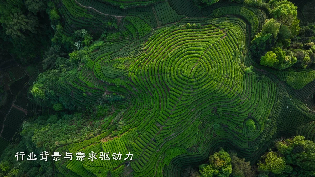 行业背景与需求驱动力