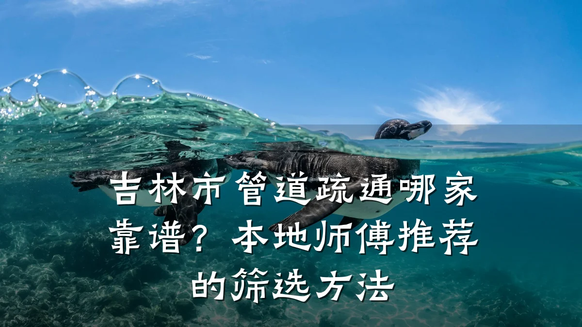 吉林市管道疏通哪家靠谱?本地师傅推荐的筛选方法