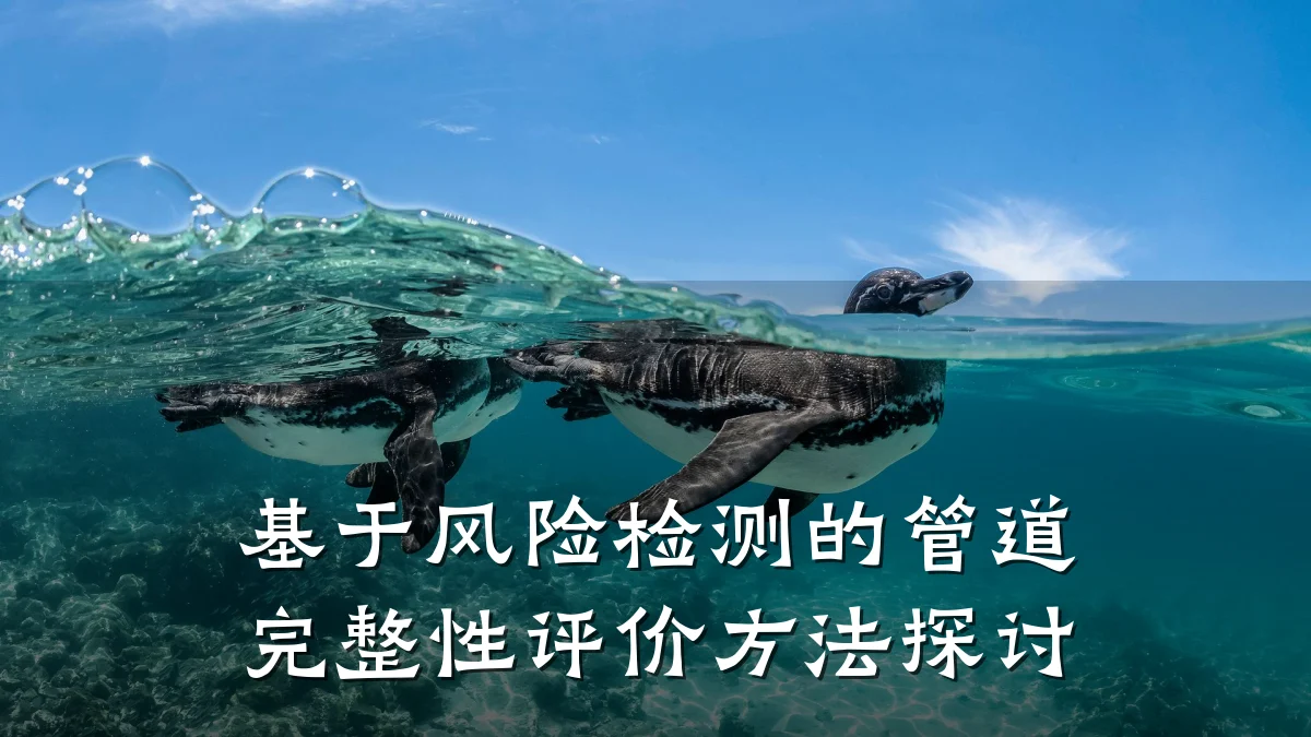 基于风险检测的管道完整性评价方法探讨
