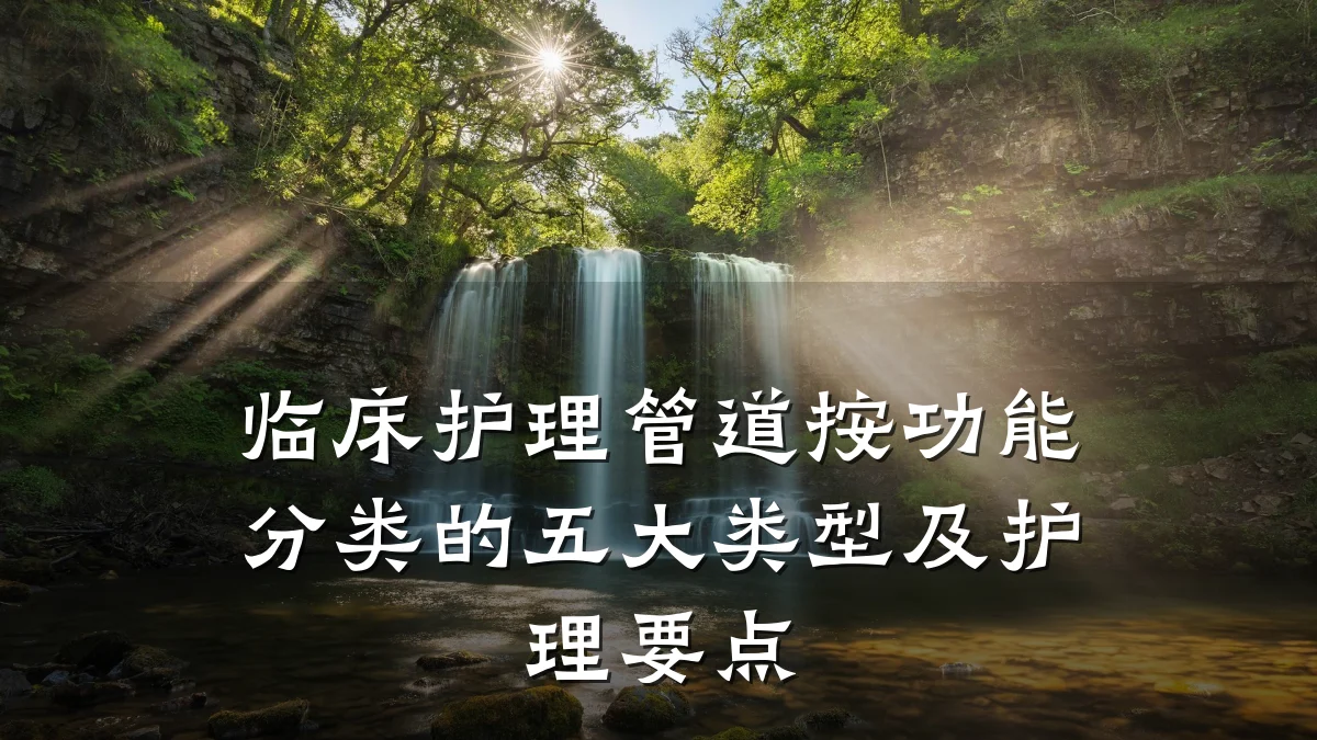 临床护理管道按功能分类的五大类型及护理要点