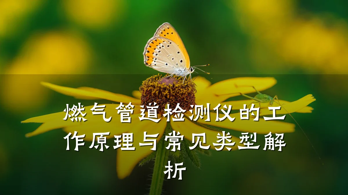 燃气管道检测仪的工作原理与常见类型解析