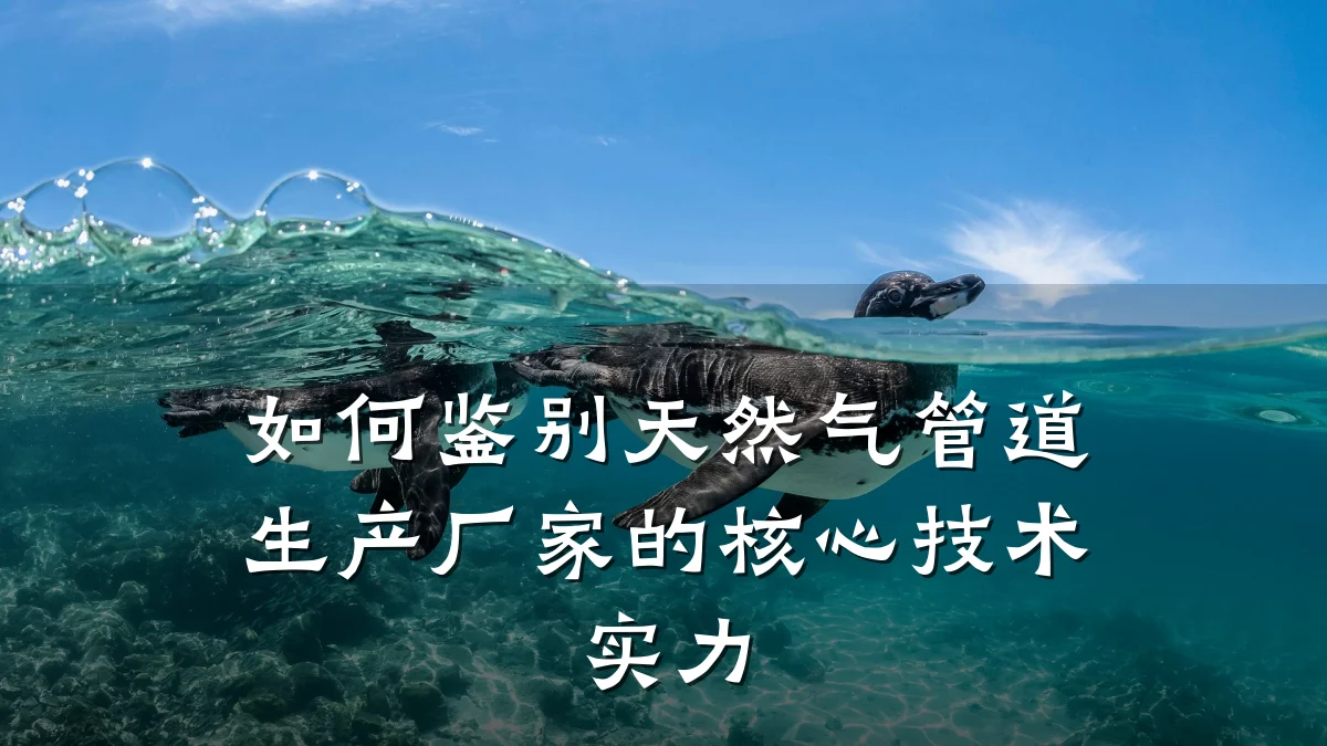如何鉴别天然气管道生产厂家的核心技术实力