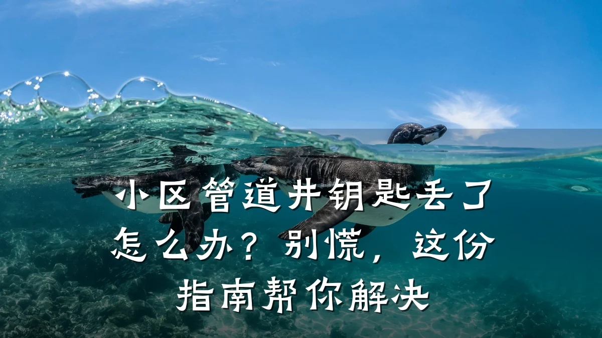 小区管道井钥匙丢了怎么办?别慌,这份指南帮你解决