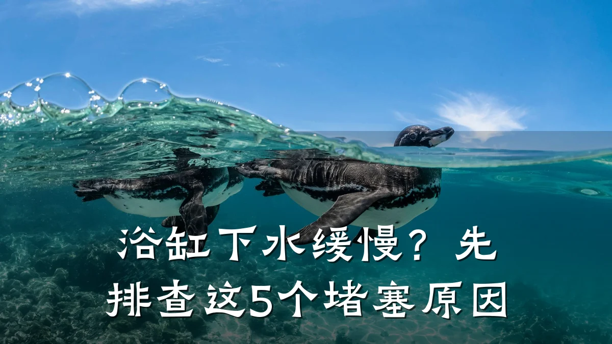 浴缸下水缓慢?先排查这5个堵塞原因