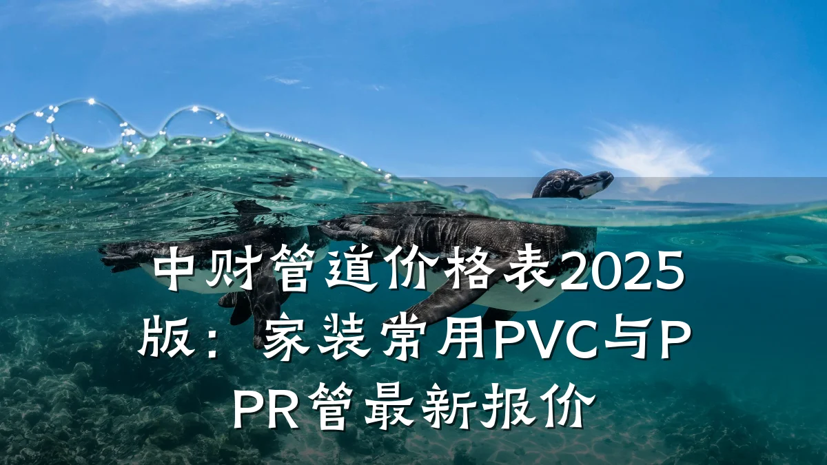 中财管道价格表2025版:家装常用PVC与PPR管最新报价