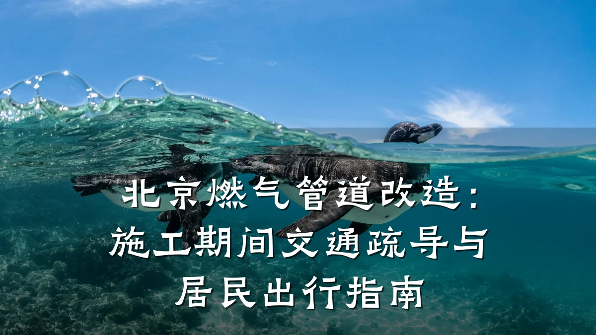北京燃气管道改造:施工期间交通疏导与居民出行指南