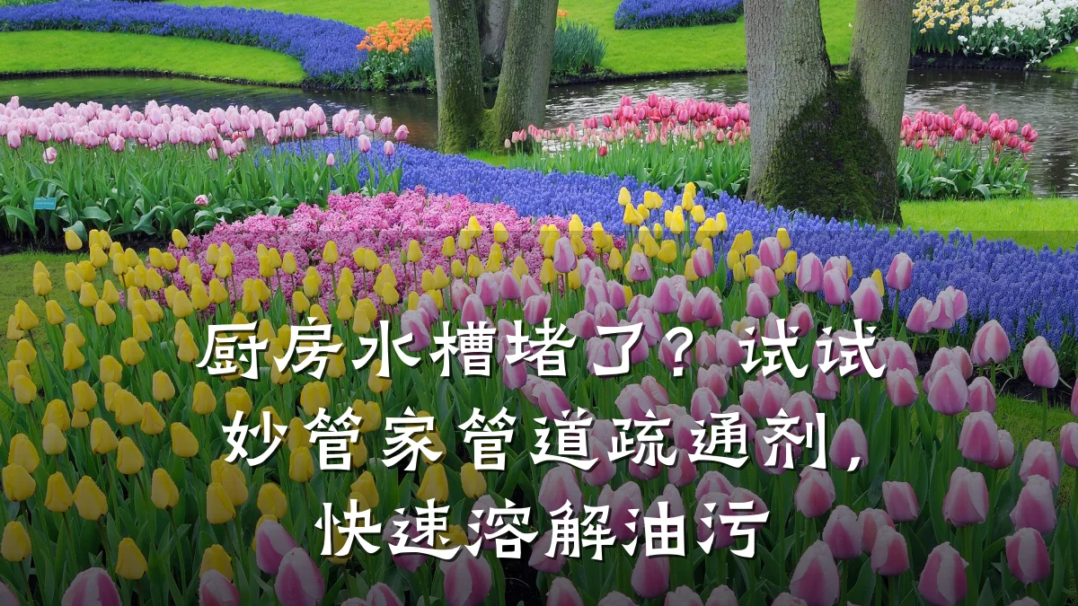 厨房水槽堵了?试试妙管家管道疏通剂,快速溶解油污