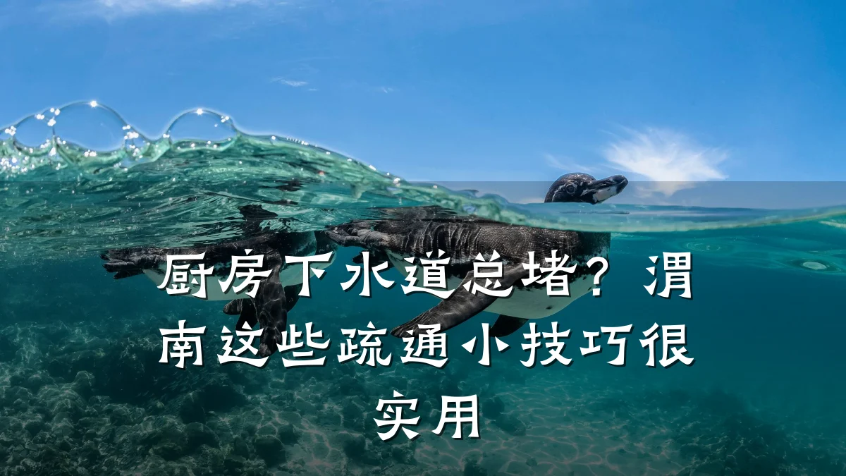 厨房下水道总堵?渭南这些疏通小技巧很实用
