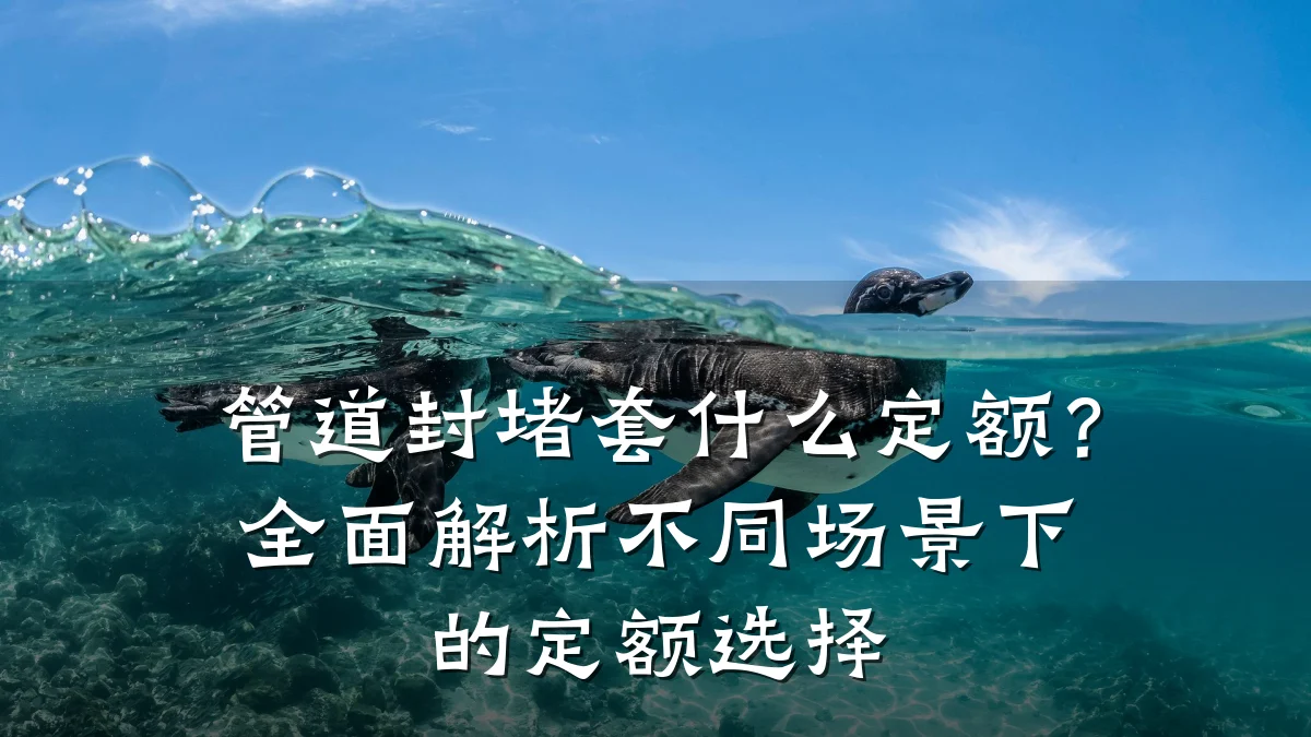 管道封堵套什么定额？全面解析不同场景下的定额选择