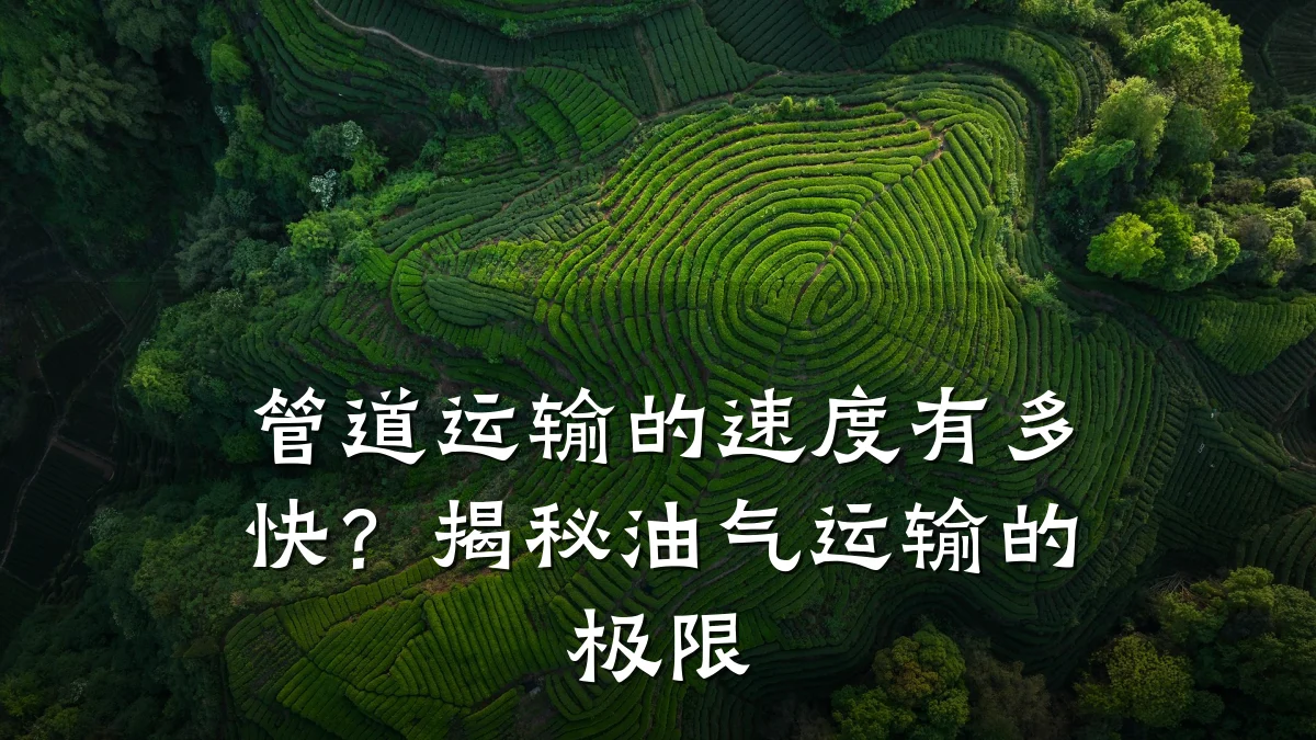 管道运输的速度有多快?揭秘油气运输的极限