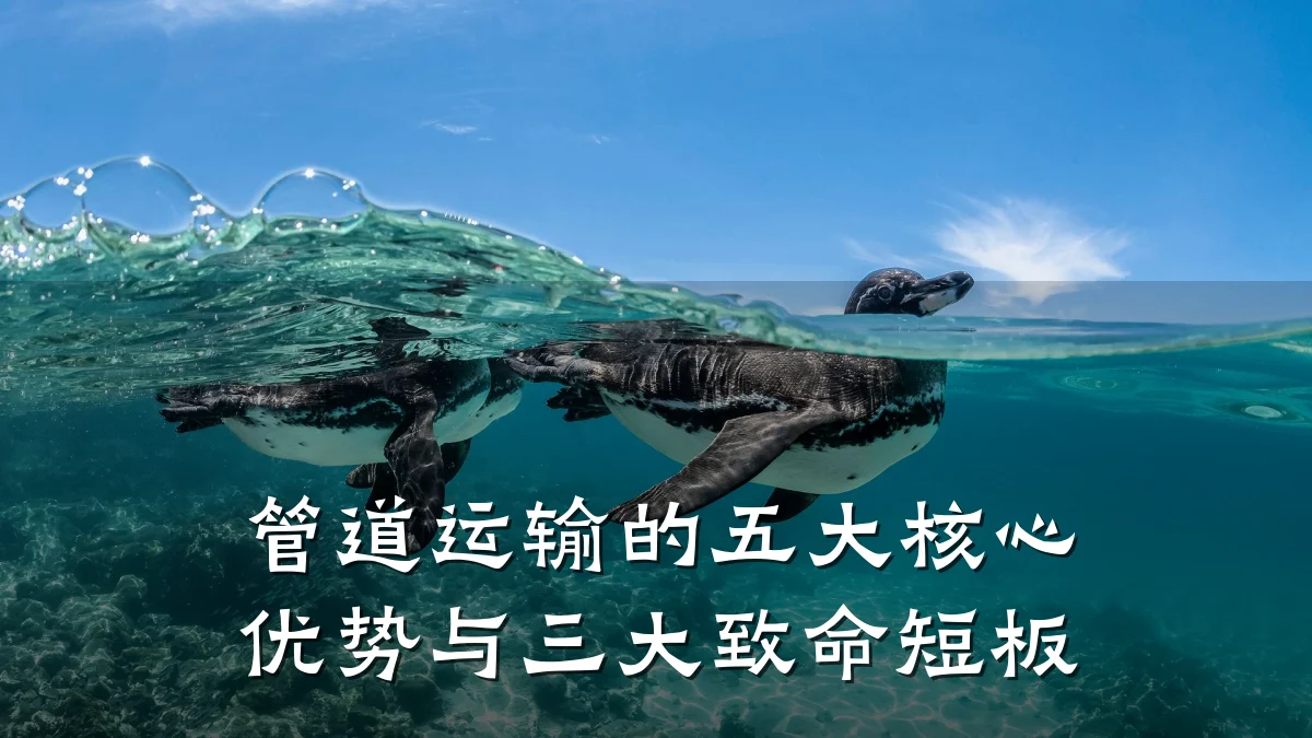 管道运输的五大核心优势与三大致命短板