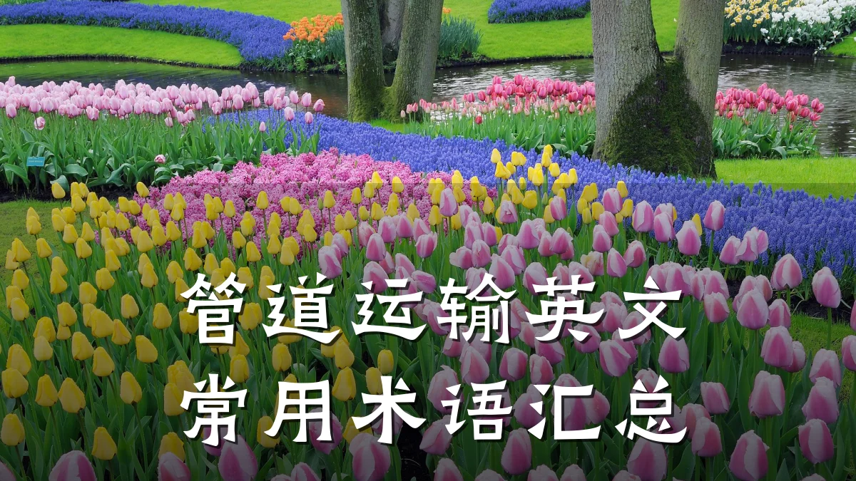 管道运输英文常用术语汇总