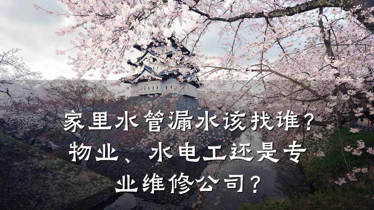 家里水管漏水该找谁?物业、水电工还是专业维修公司?