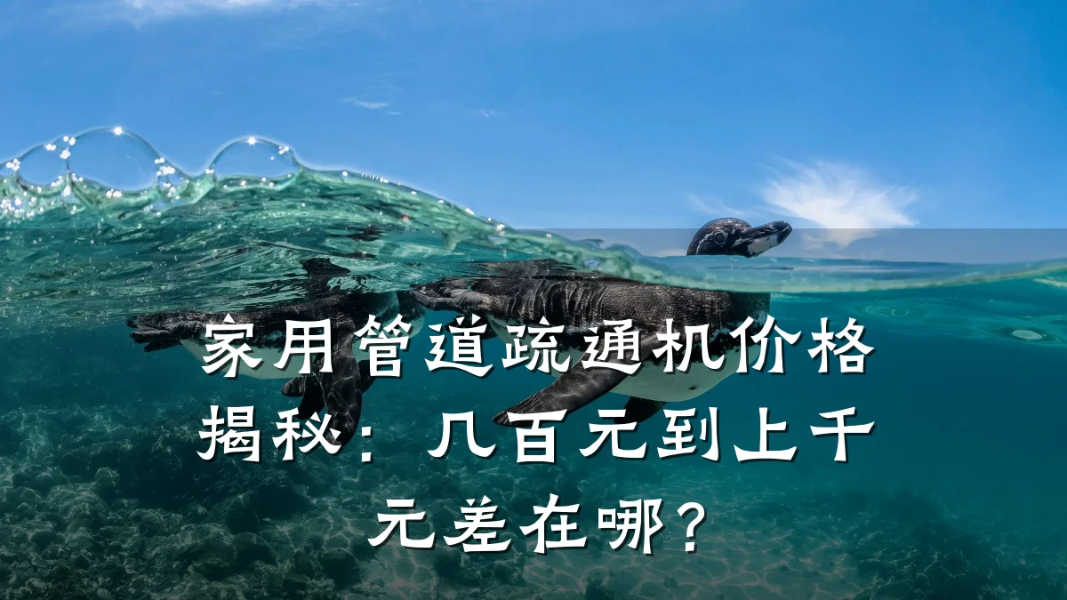 家用管道疏通机价格揭秘:几百元到上千元差在哪?