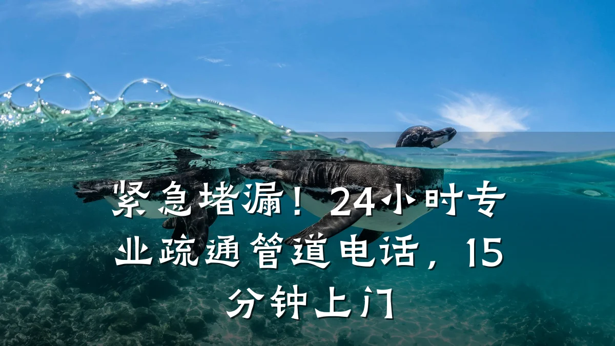 紧急堵漏!24小时专业疏通管道电话,15分钟上门