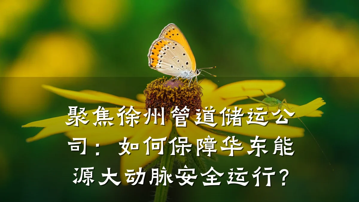 聚焦徐州管道储运公司:如何保障华东能源大动脉安全运行?