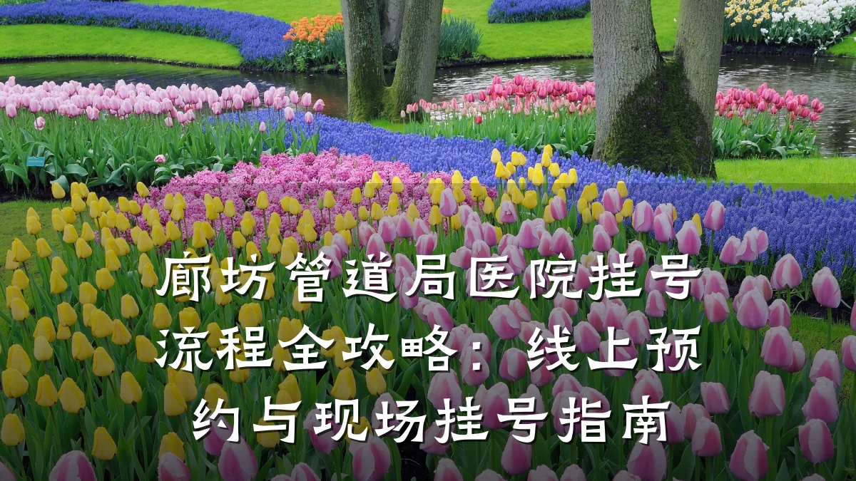 廊坊管道局医院挂号流程全攻略:线上预约与现场挂号指南