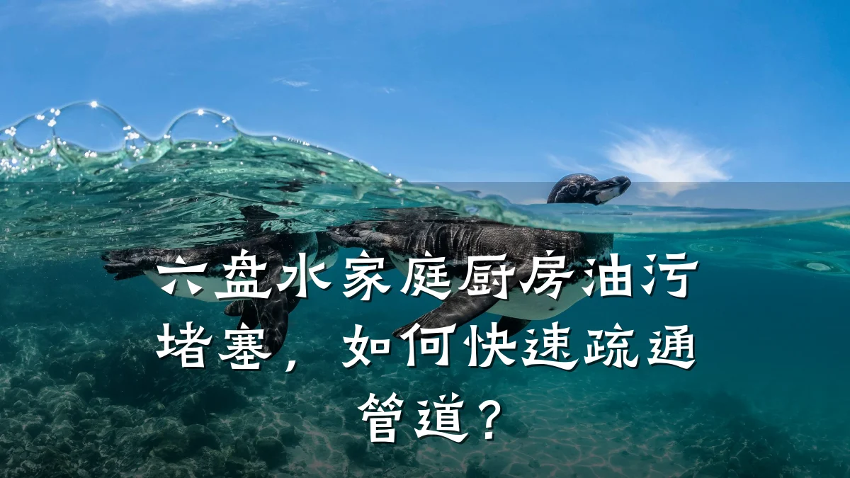 六盘水家庭厨房油污堵塞,如何快速疏通管道?