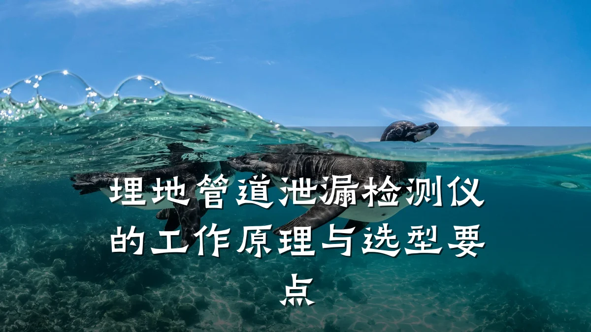埋地管道泄漏检测仪的工作原理与选型要点