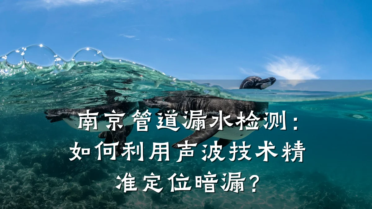 南京管道漏水检测:如何利用声波技术精准定位暗漏?