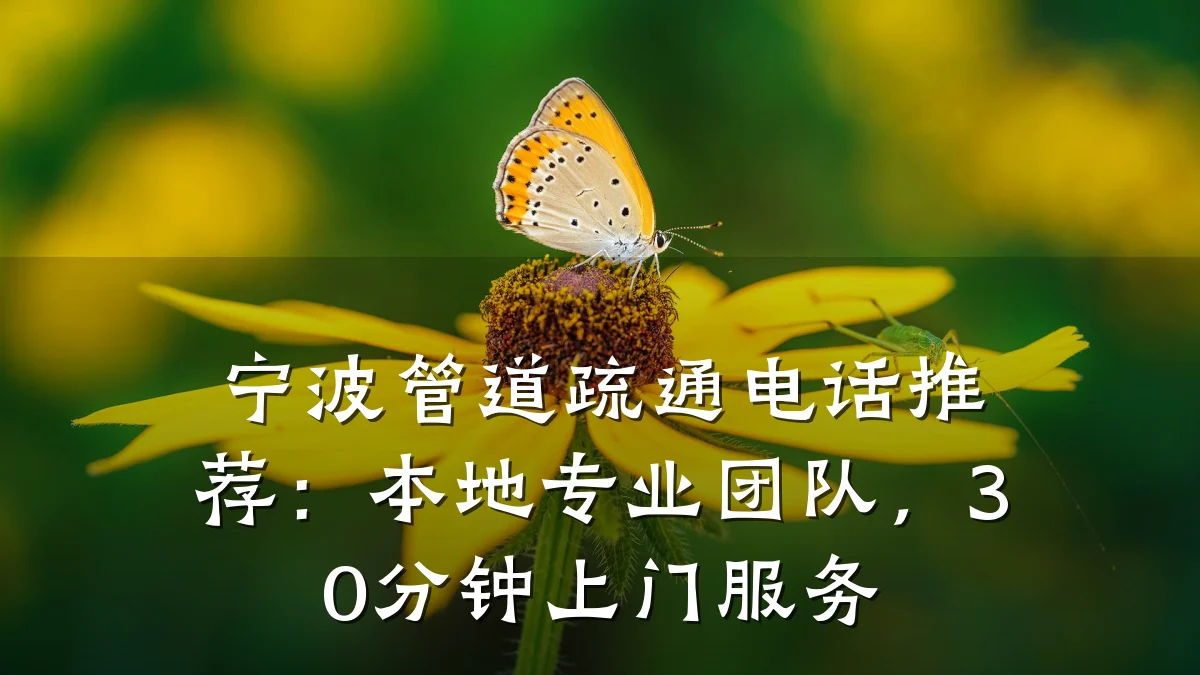 宁波管道疏通电话推荐:本地专业团队,30分钟上门服务