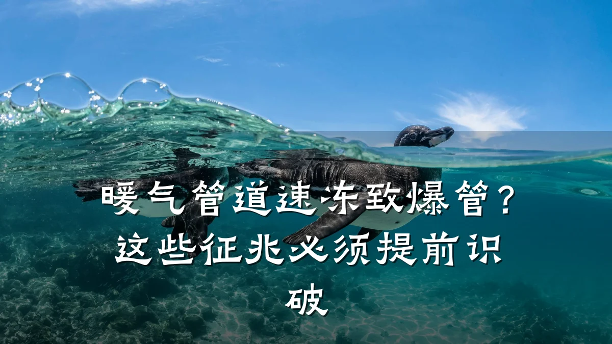 暖气管道速冻致爆管？这些征兆必须提前识破