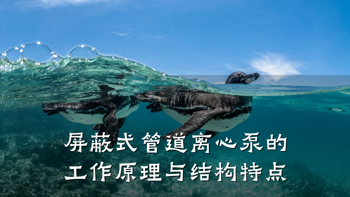 屏蔽式管道离心泵的工作原理与结构特点