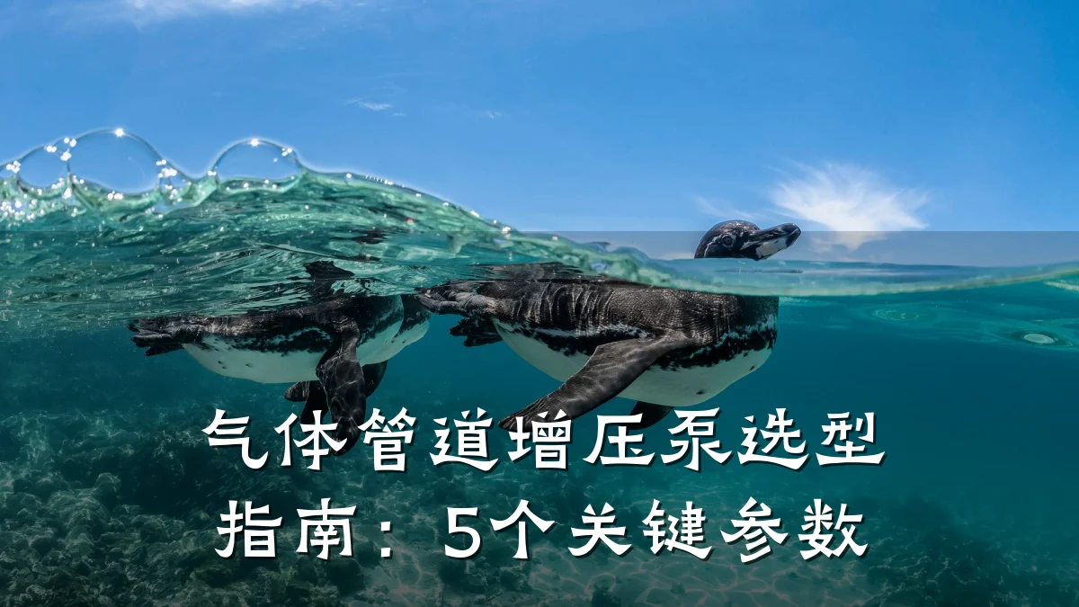气体管道增压泵选型指南:5个关键参数