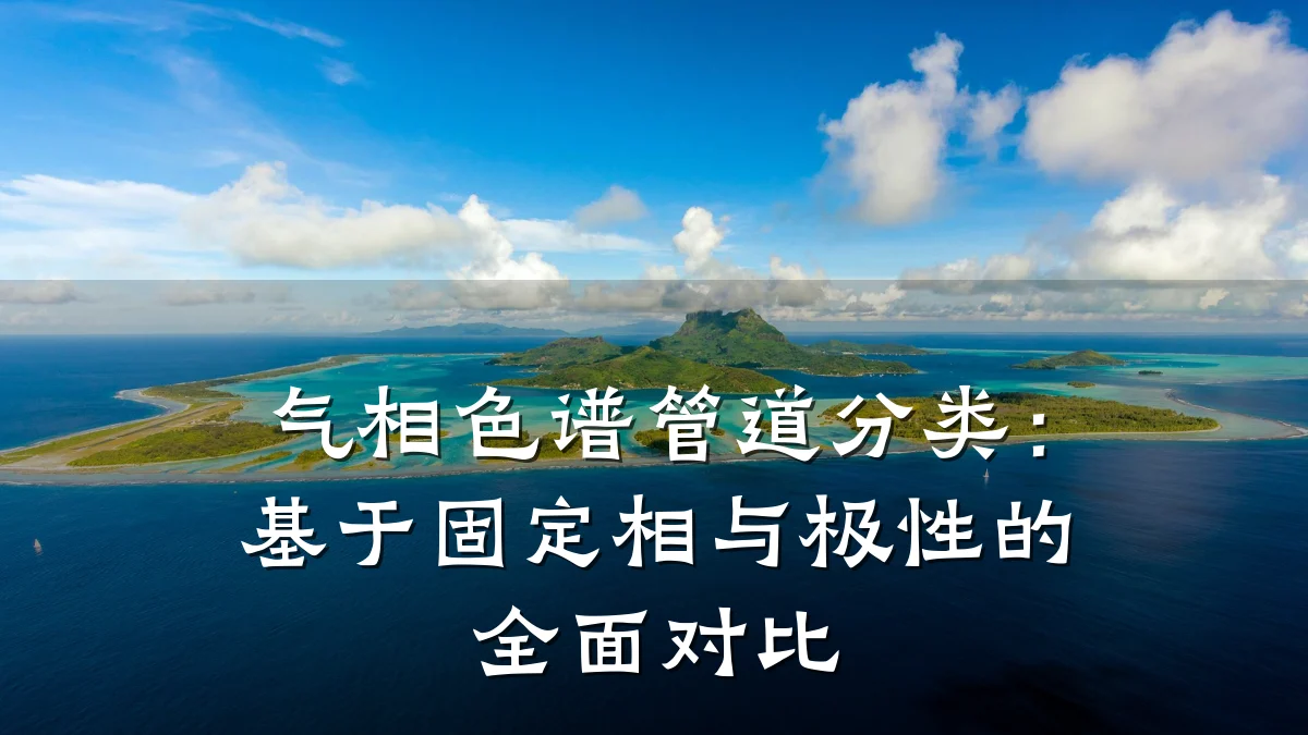 气相色谱管道分类：基于固定相与极性的全面对比