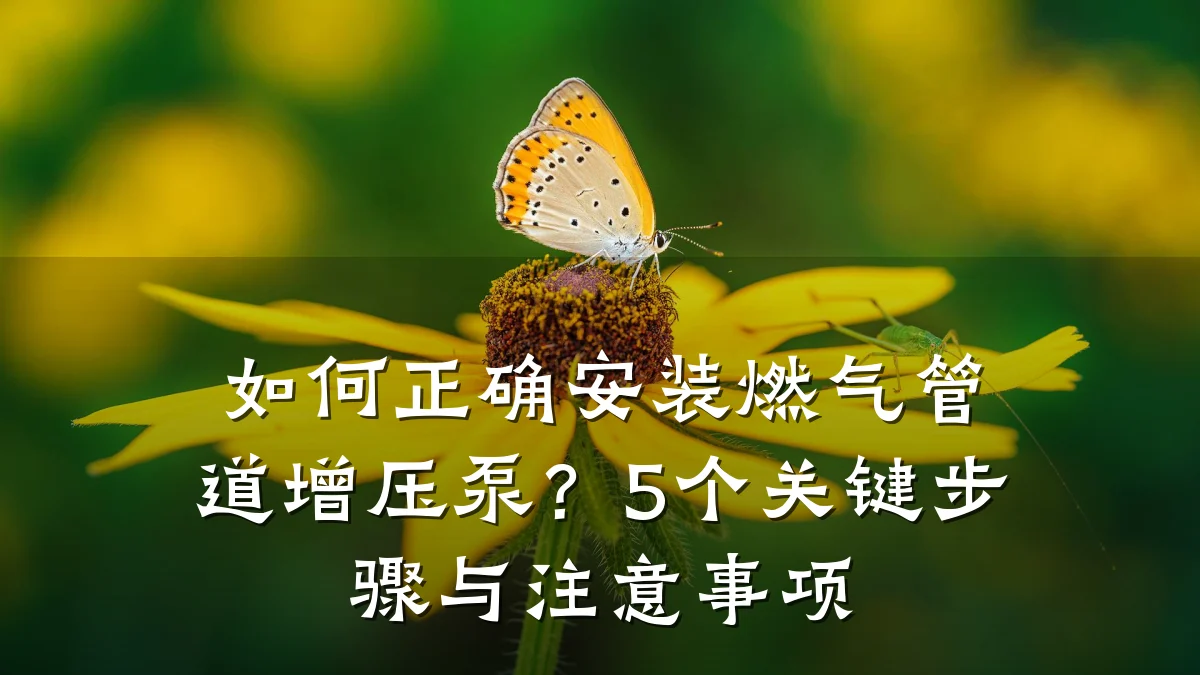 如何正确安装燃气管道增压泵?5个关键步骤与注意事项